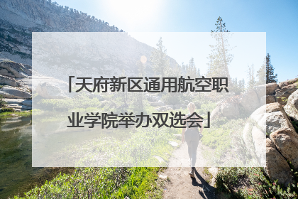 天府新区通用航空职业学院举办双选会