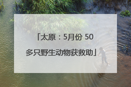 太原：5月份 50多只野生动物获救助