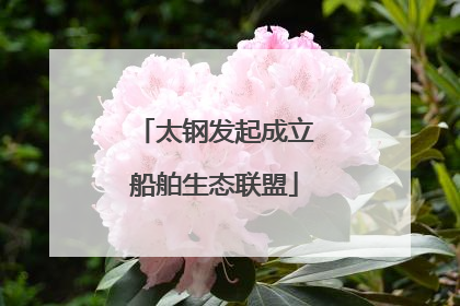 太钢发起成立船舶生态联盟