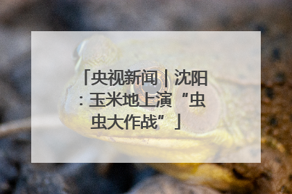 央视新闻｜沈阳：玉米地上演“虫虫大作战”
