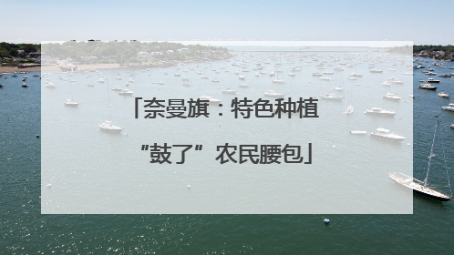 奈曼旗：特色种植“鼓了”农民腰包
