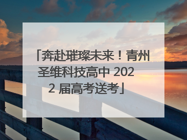 奔赴璀璨未来！青州圣维科技高中 2022 届高考送考