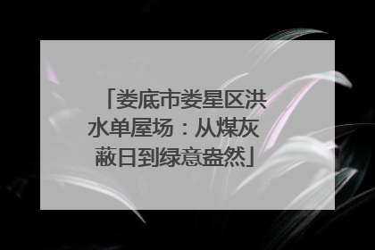 娄底市娄星区洪水单屋场：从煤灰蔽日到绿意盎然