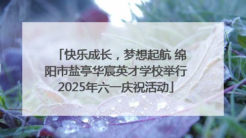 快乐成长，梦想起航 绵阳市盐亭华宸英才学校举行2025年六一庆祝活动