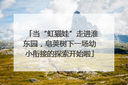 当“虹猫娃”走进淮东园，皂荚树下一场幼小衔接的探索开始啦