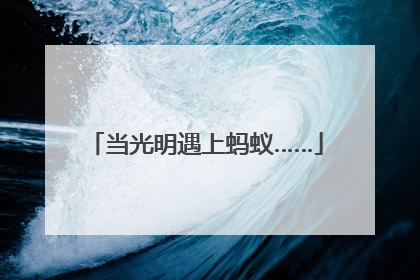 当光明遇上蚂蚁……