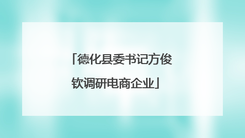 德化县委书记方俊钦调研电商企业