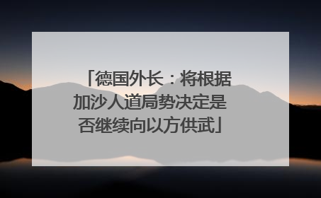 德国外长：将根据加沙人道局势决定是否继续向以方供武