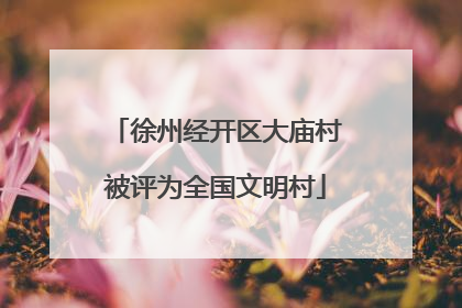 徐州经开区大庙村被评为全国文明村