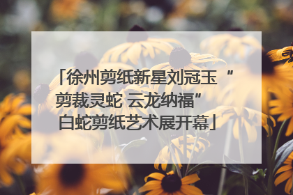 徐州剪纸新星刘冠玉“剪裁灵蛇 云龙纳福” 白蛇剪纸艺术展开幕