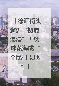 徐汇街头邂逅“初夏浪漫”！绣球花海成“全民打卡地”