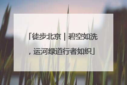 徒步北京｜碧空如洗，运河绿道行者如织