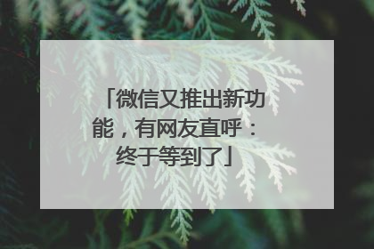 微信又推出新功能，有网友直呼：终于等到了