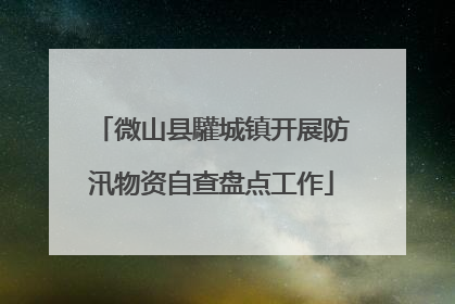 微山县驩城镇开展防汛物资自查盘点工作