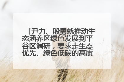 尹力、殷勇就推动生态涵养区绿色发展到平谷区调研，要求走生态优先、绿色低碳的高质量发展之路