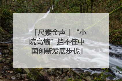 尺素金声｜“小院高墙”挡不住中国创新发展步伐
