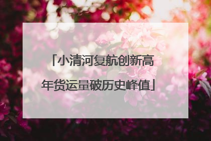小清河复航创新高 年货运量破历史峰值