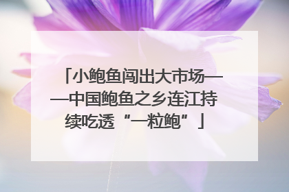 小鲍鱼闯出大市场——中国鲍鱼之乡连江持续吃透“一粒鲍”