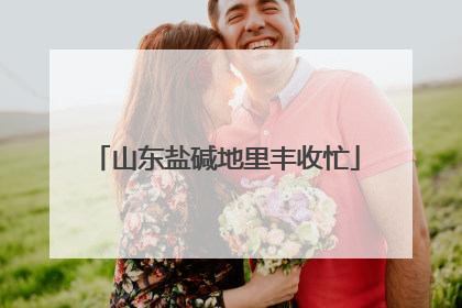 山东盐碱地里丰收忙