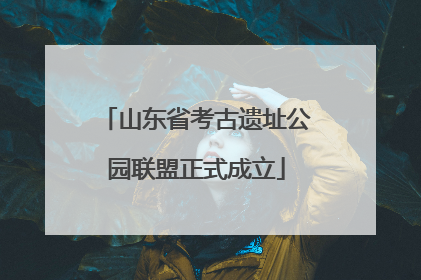 山东省考古遗址公园联盟正式成立