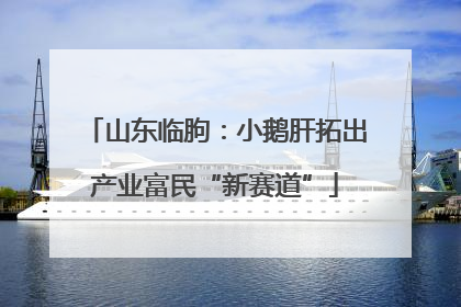 山东临朐：小鹅肝拓出产业富民“新赛道”