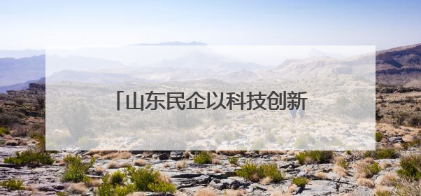 山东民企以科技创新赋能乡村振兴与转型发展 助力共同富裕