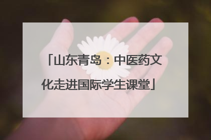山东青岛：中医药文化走进国际学生课堂
