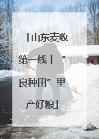 山东麦收第一线丨“良种田”里产好粮
