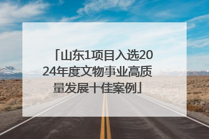 山东1项目入选2024年度文物事业高质量发展十佳案例