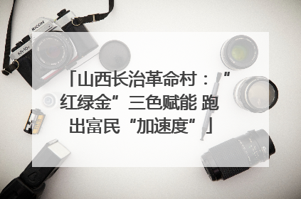 山西长治革命村：“红绿金”三色赋能 跑出富民“加速度”
