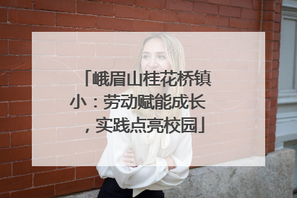 峨眉山桂花桥镇小：劳动赋能成长，实践点亮校园