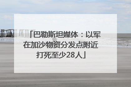 巴勒斯坦媒体：以军在加沙物资分发点附近打死至少28人