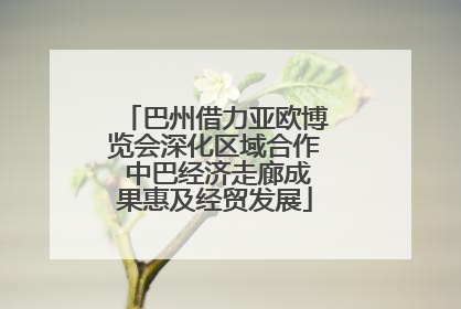 巴州借力亚欧博览会深化区域合作 中巴经济走廊成果惠及经贸发展