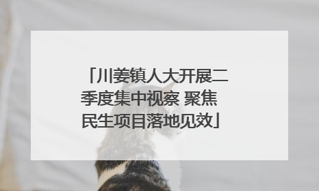 川姜镇人大开展二季度集中视察 聚焦民生项目落地见效