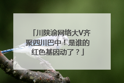 川陕渝网络大V齐聚四川巴中！是谁的红色基因动了？