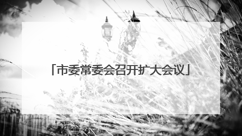 市委常委会召开扩大会议