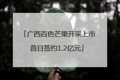 广西百色芒果开采上市 首日签约1.2亿元
