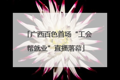 广西百色首场“工会帮就业”直播落幕