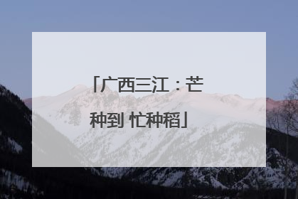 广西三江：芒种到 忙种稻