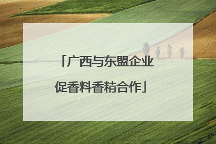 广西与东盟企业促香料香精合作