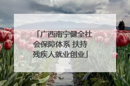 广西南宁健全社会保障体系 扶持残疾人就业创业