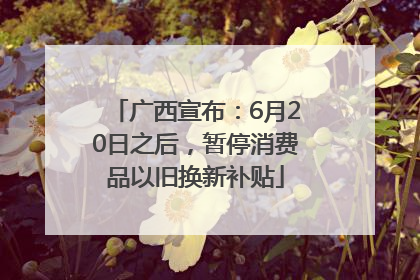 广西宣布：6月20日之后，暂停消费品以旧换新补贴