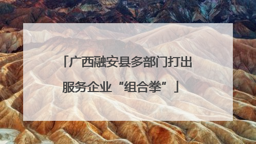 广西融安县多部门打出服务企业“组合拳”