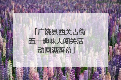 广饶县西关古街五一趣味大闯关活动圆满落幕