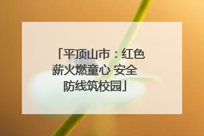 平顶山市：红色薪火燃童心 安全防线筑校园