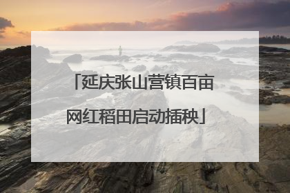 延庆张山营镇百亩网红稻田启动插秧