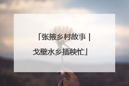 张掖乡村故事｜戈壁水乡插秧忙