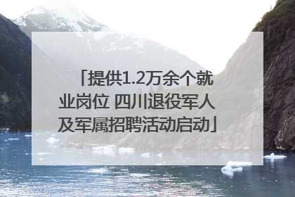 提供1.2万余个就业岗位 四川退役军人及军属招聘活动启动