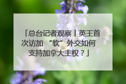 总台记者观察丨英王首次访加 “软”外交如何支持加拿大主权？