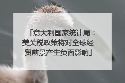 意大利国家统计局：美关税政策将对全球经贸前景产生负面影响